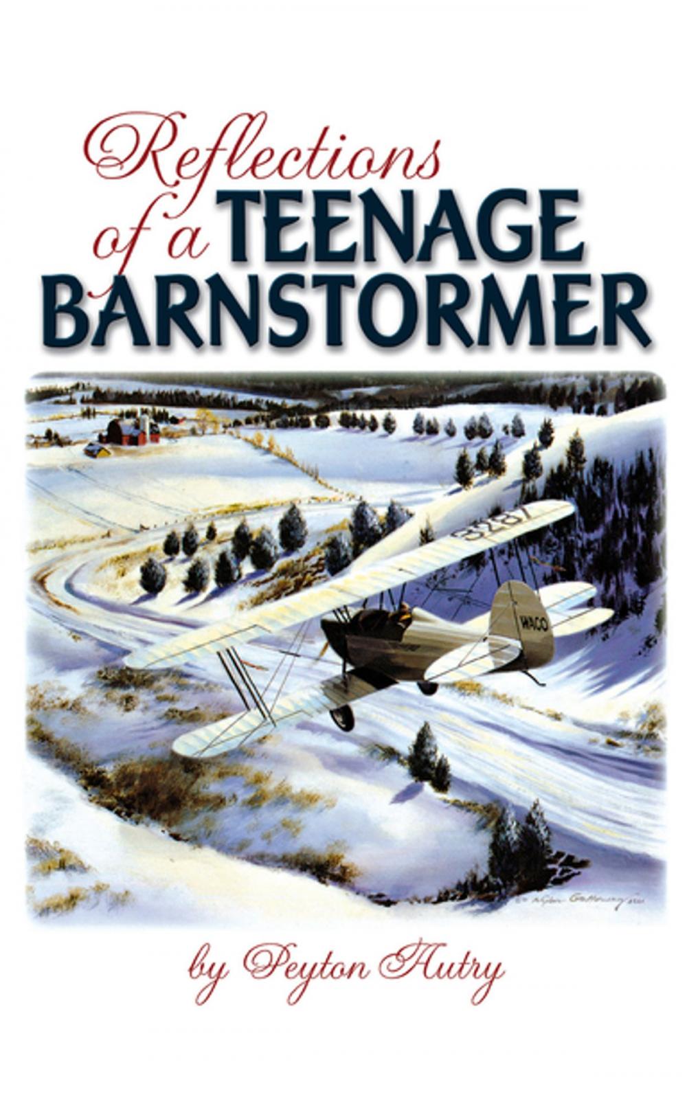 Big bigCover of Reflections of a Teenage Barnstormer