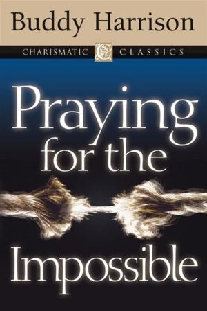 Book cover of Praying for the Impossible