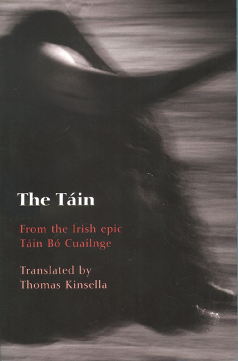 Big bigCover of The T�in: From the Irish epic T�in B� Cuailnge