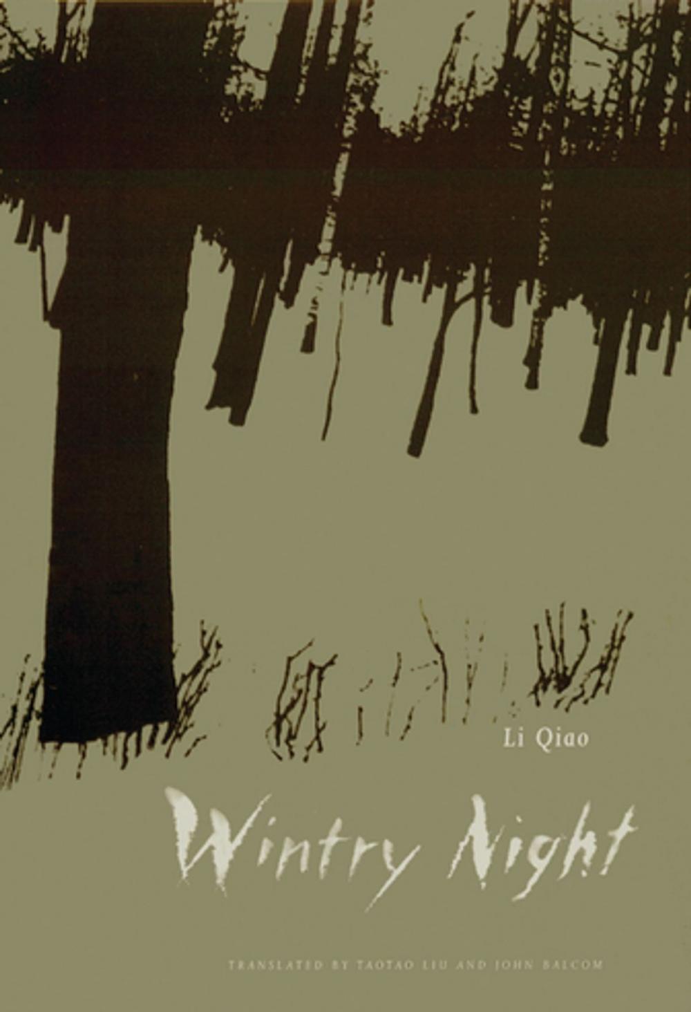 Big bigCover of Wintry Night