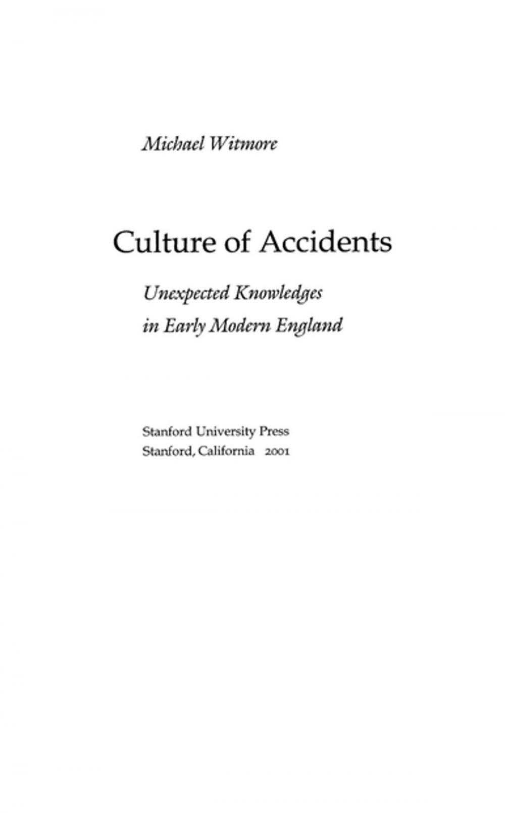 Big bigCover of Culture of Accidents