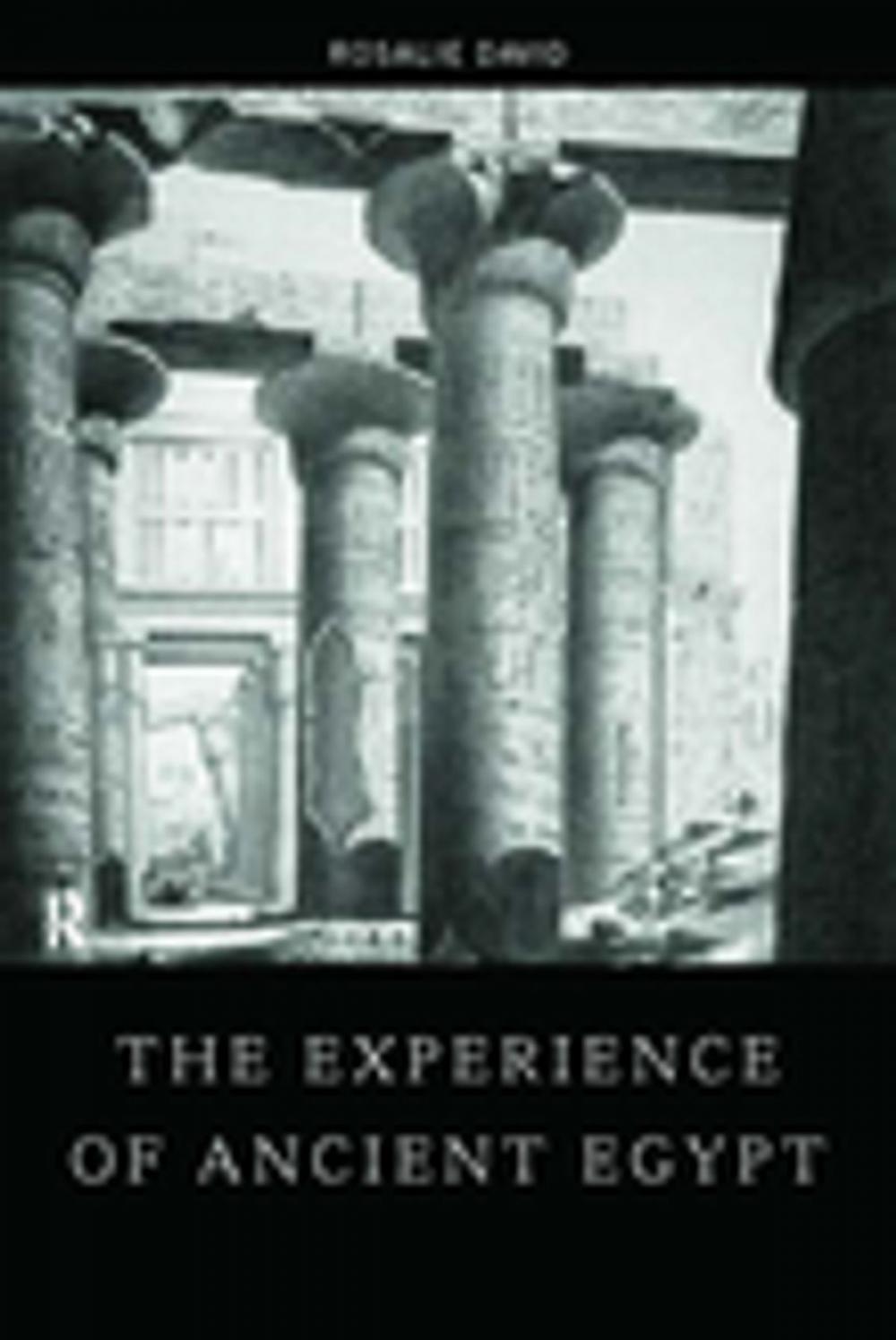 Big bigCover of The Experience of Ancient Egypt