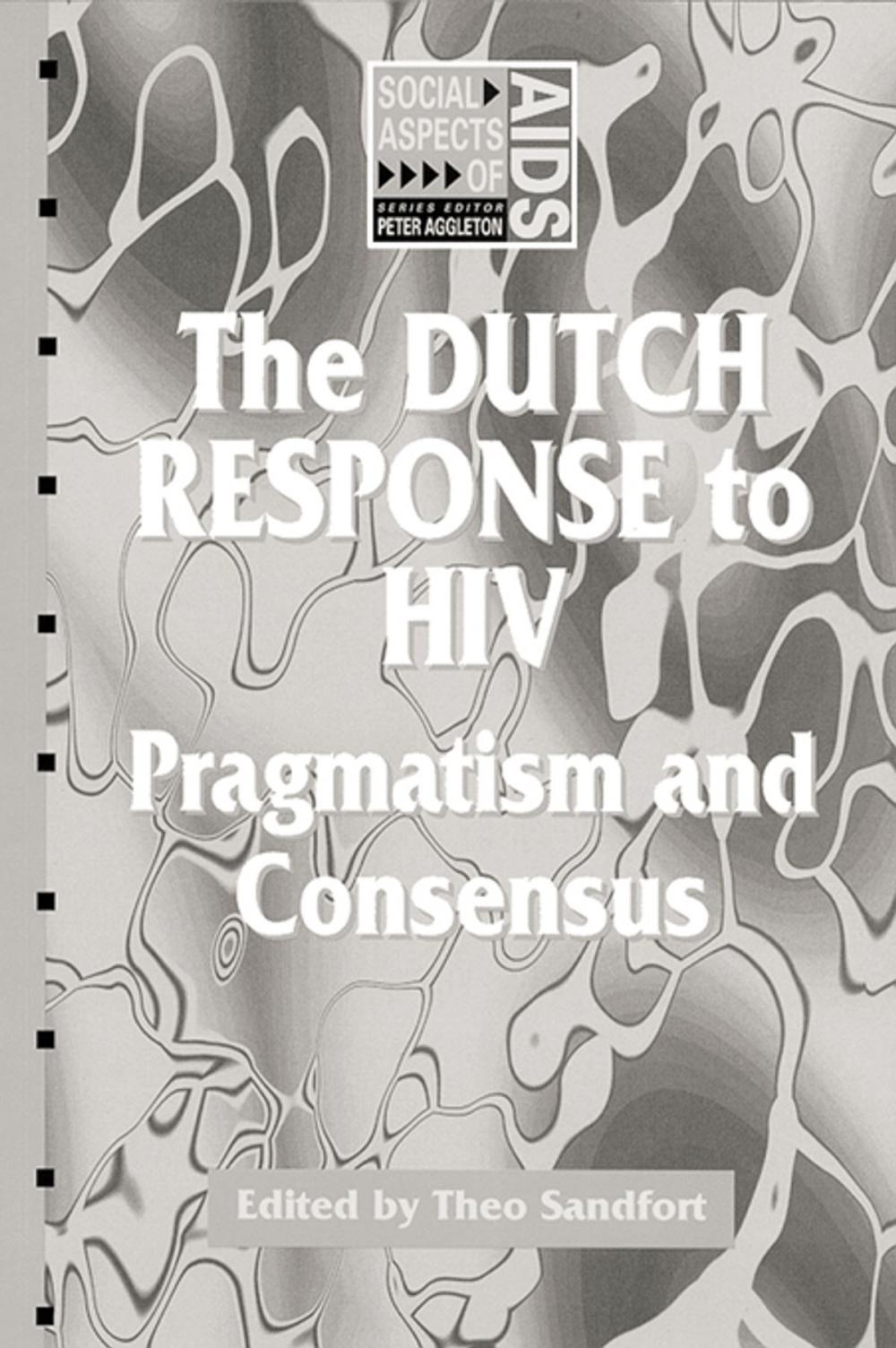 Big bigCover of The Dutch Response To HIV