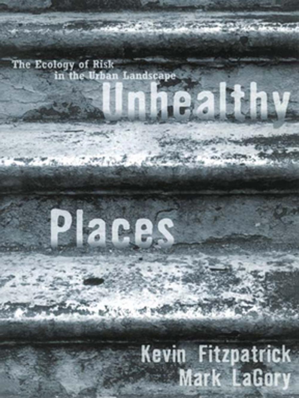 Big bigCover of Unhealthy Places