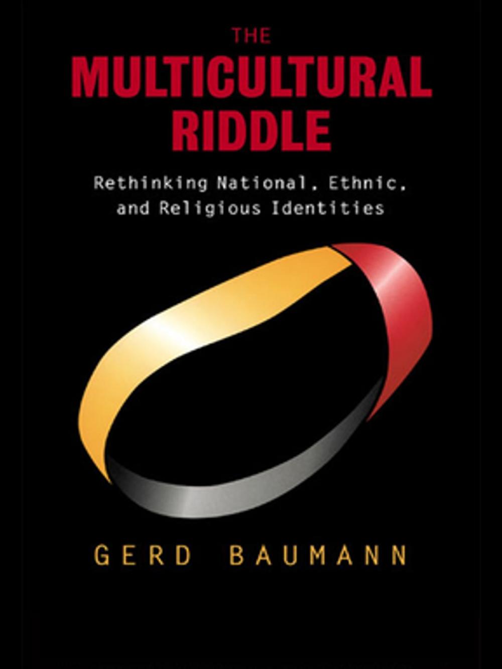 Big bigCover of The Multicultural Riddle