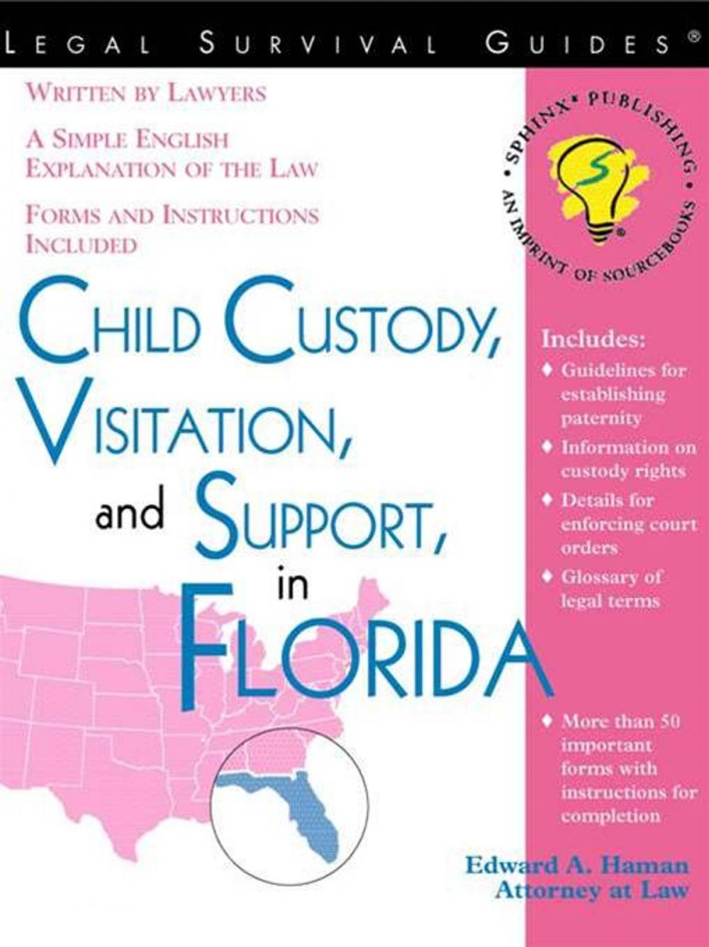 Big bigCover of Child Custody, Visitation, and Support in Florida