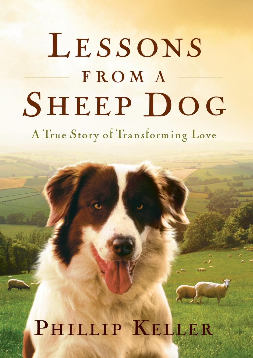 Big bigCover of Lessons from a Sheep Dog