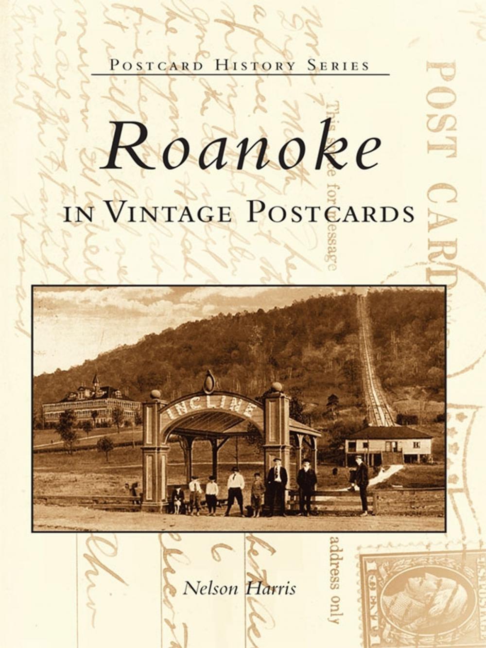 Big bigCover of Roanoke in Vintage Postcards