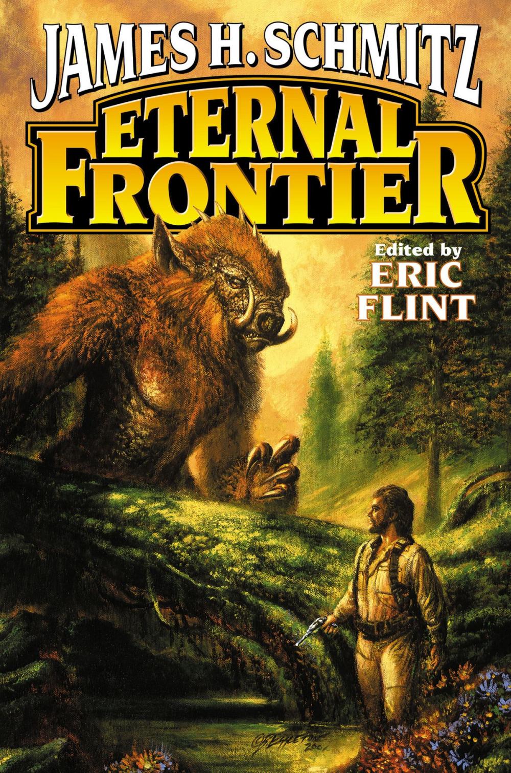 Big bigCover of Eternal Frontier