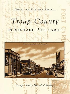 Cover of the book Troup County in Vintage Postcards by Robert Charles Rust