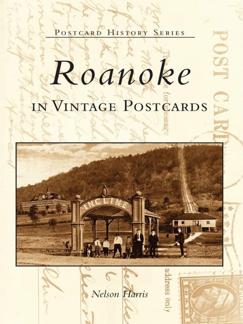 Cover of the book Roanoke in Vintage Postcards by Nelson Harris, Arcadia Publishing Inc.