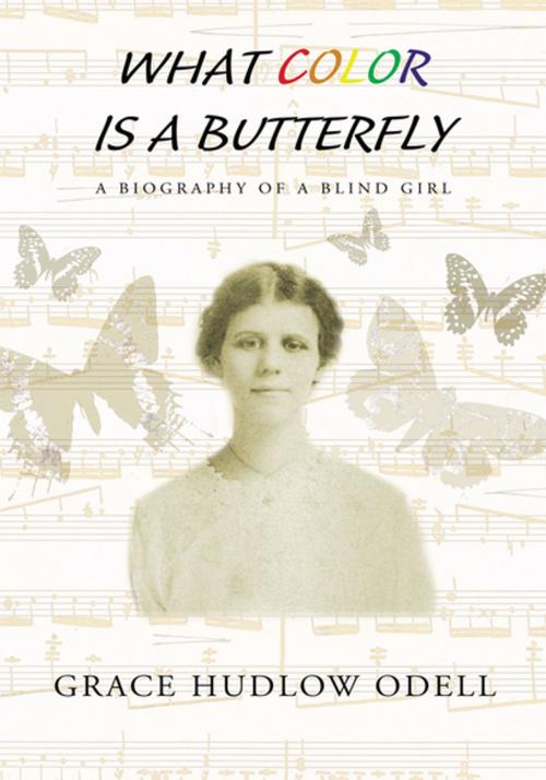 Cover of the book What Color Is a Butterfly by Grace Hudlow Odell, Xlibris US