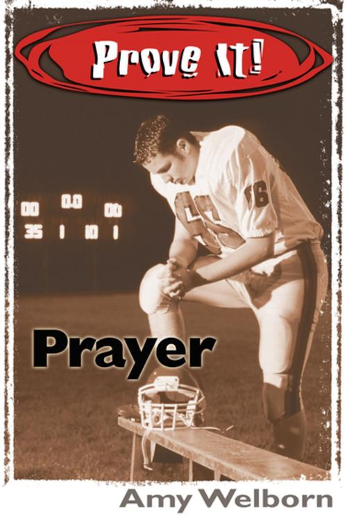 Cover of the book Prove It! Prayer by Amy Welborn, Our Sunday Visitor