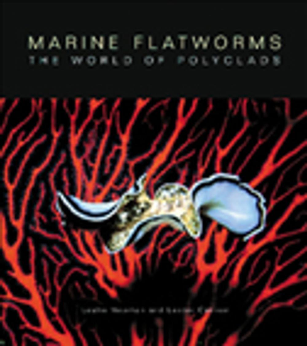 Big bigCover of Marine Flatworms