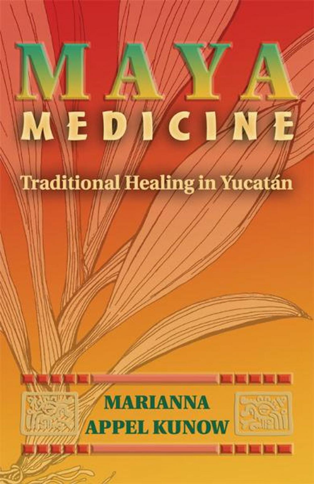 Big bigCover of Maya Medicine: Traditional Healing in Yucatán