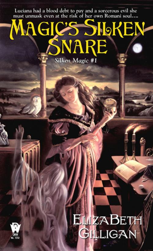 Cover of the book Magic's Silken Snare (Silken Magic # 1) by ElizaBeth Gilligan, DAW