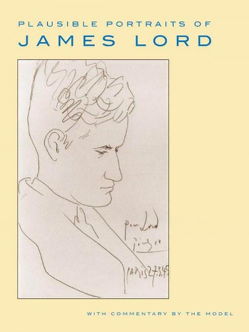 Cover of the book Plausible Portraits of James Lord by James Lord, Farrar, Straus and Giroux