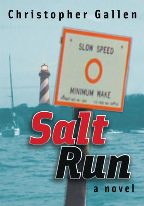 Cover of the book Salt Run by Christopher Gallen, iUniverse