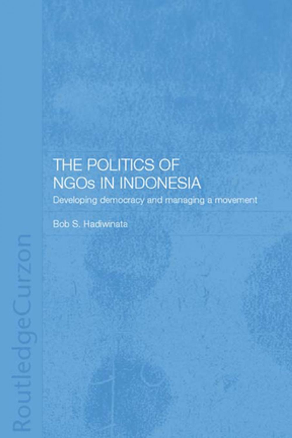 Big bigCover of The Politics of NGOs in Indonesia