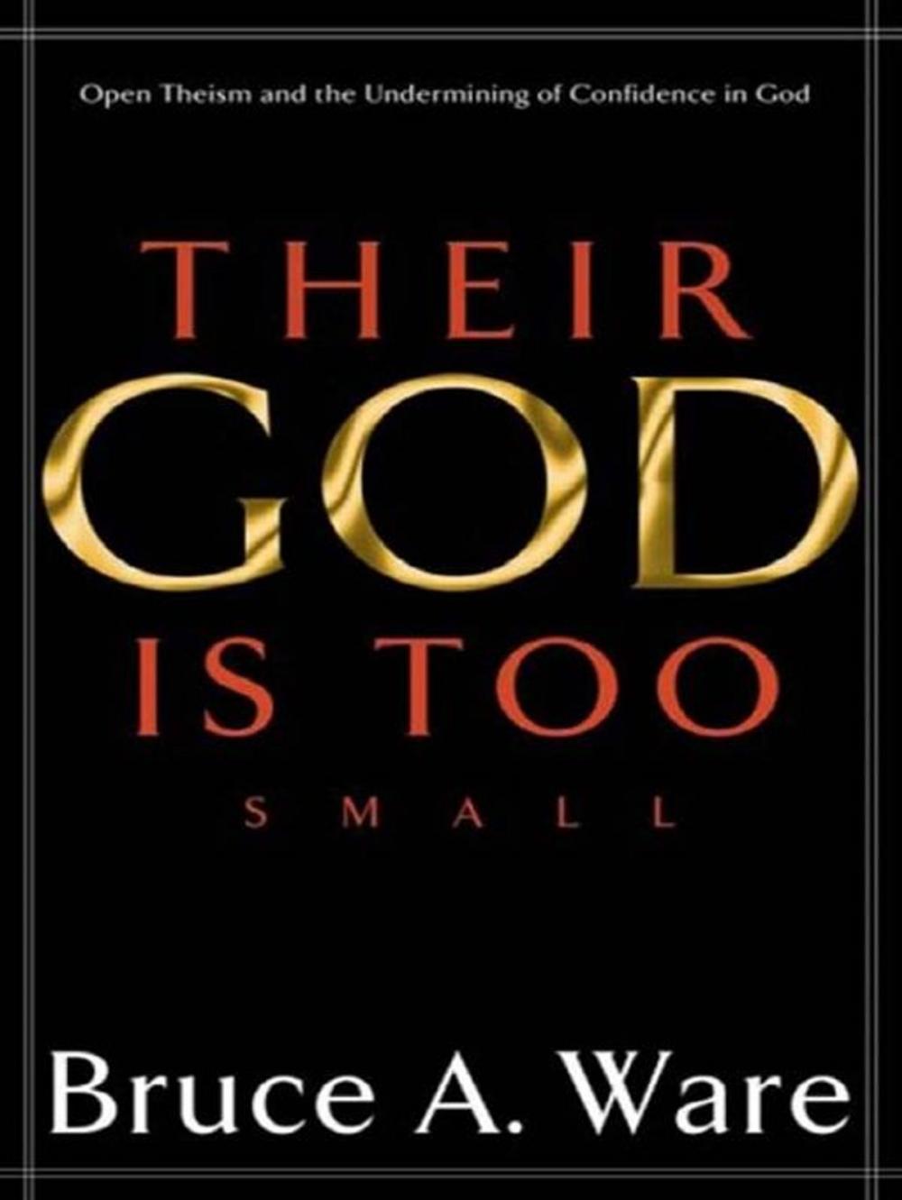 Big bigCover of Their God Is Too Small: Open Theism and the Undermining of Confidence in God