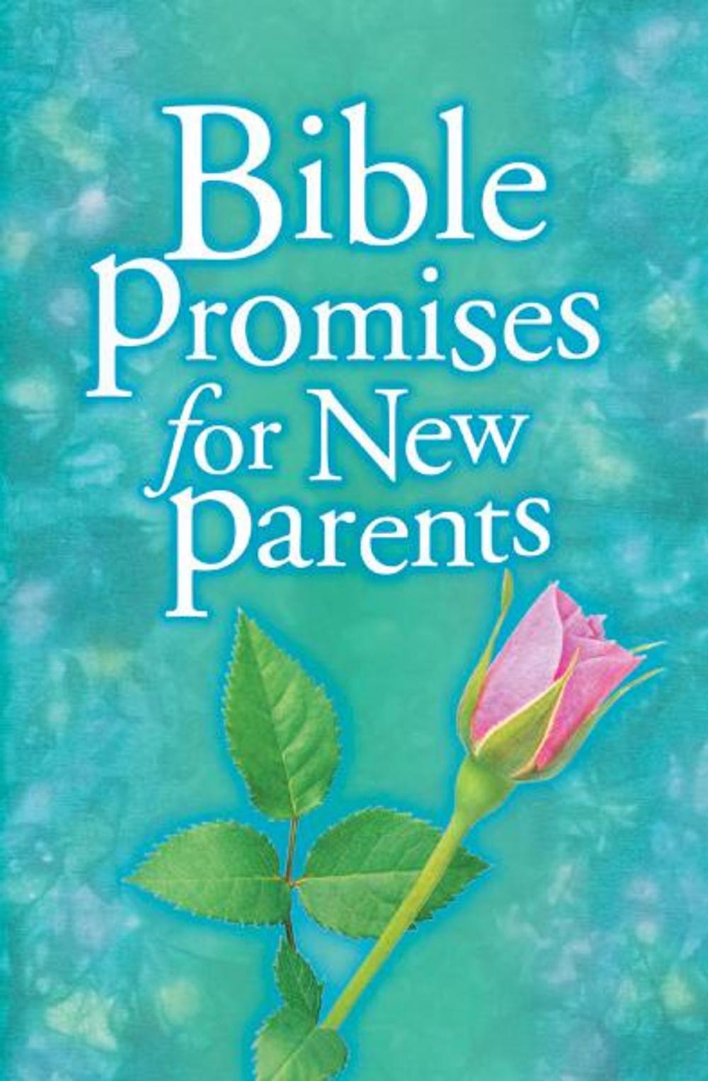 Big bigCover of Bible Promises for New Parents