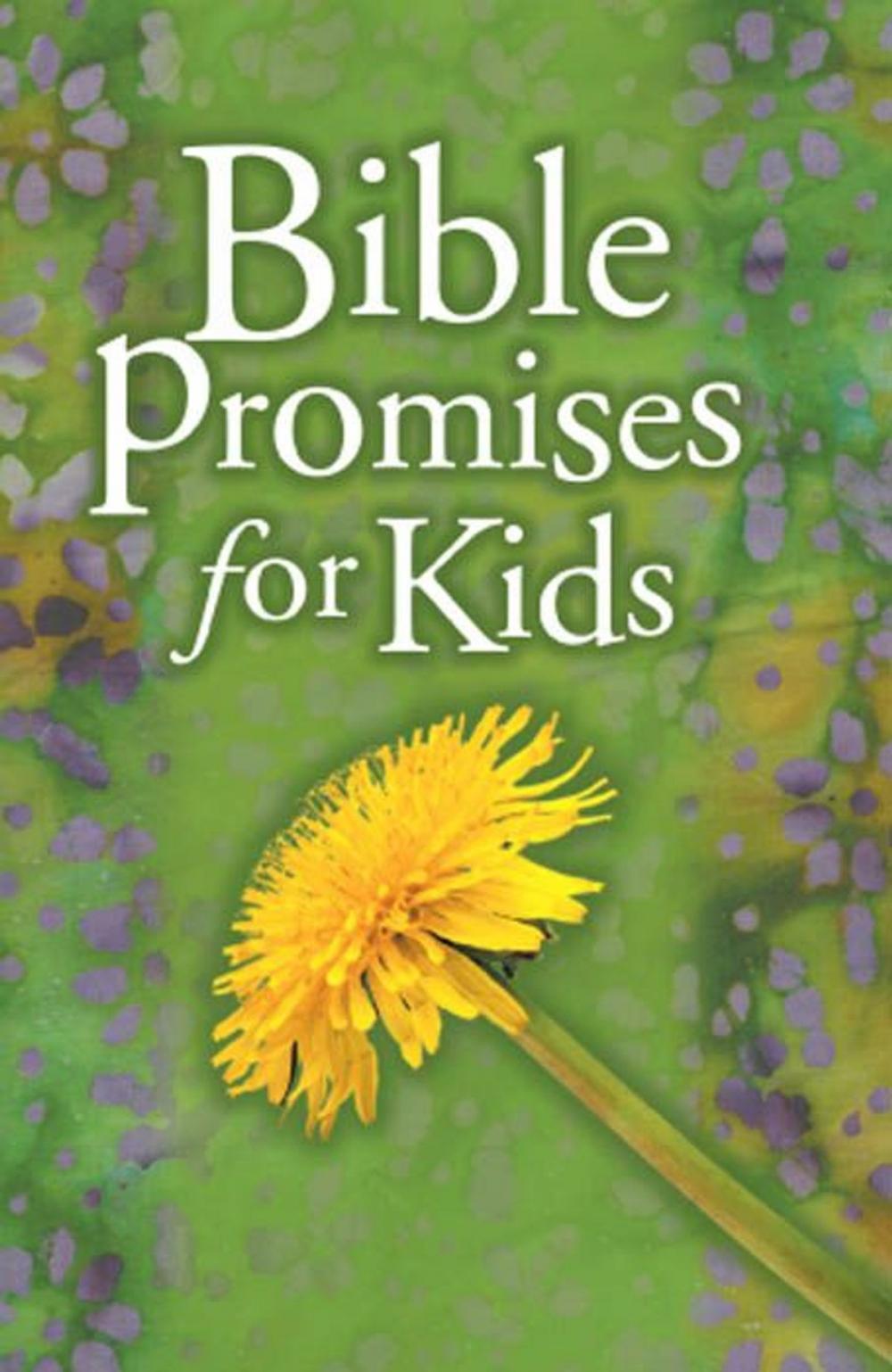 Big bigCover of Bible Promises for Kids