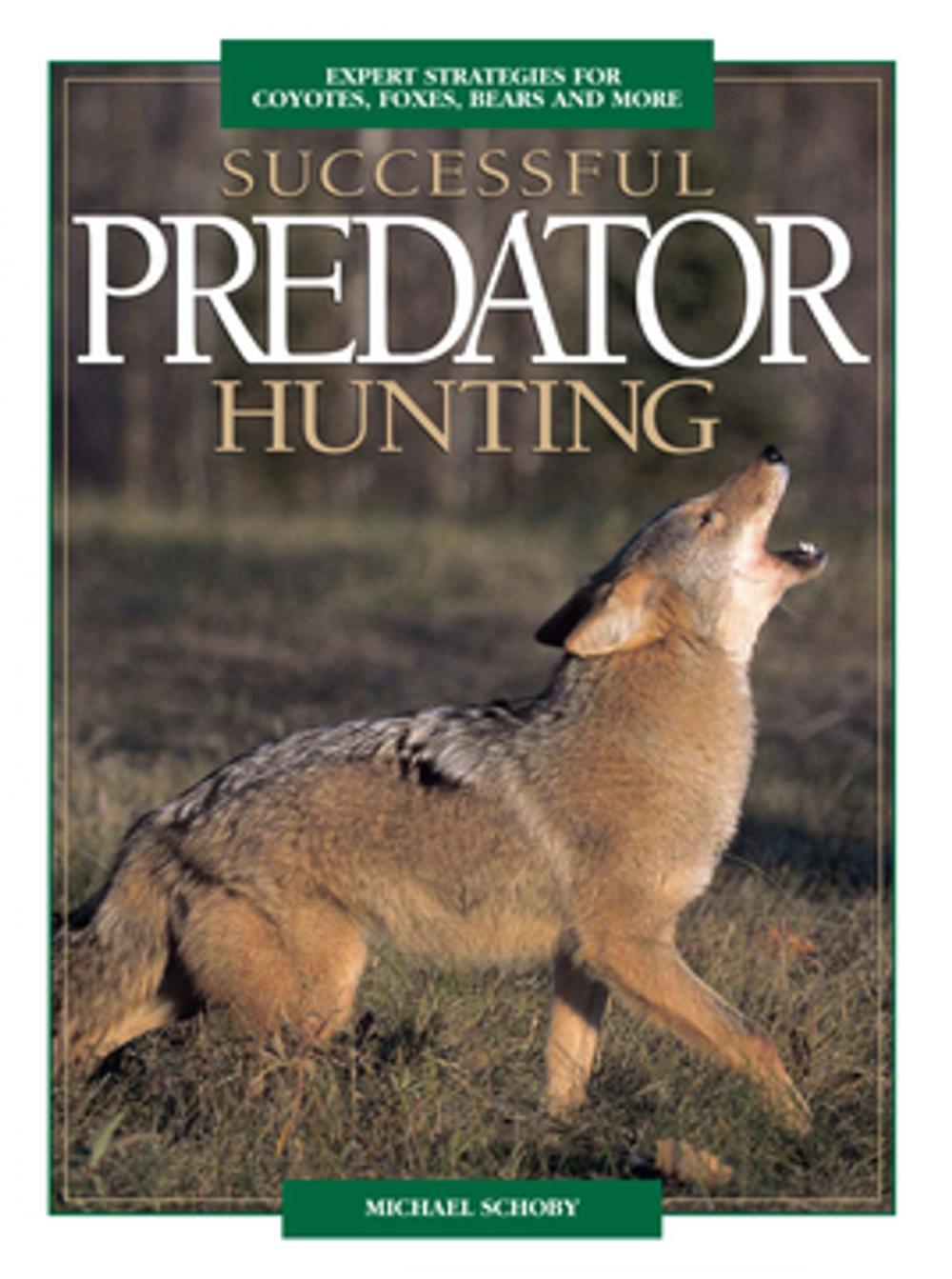 Big bigCover of Successful Predator Hunting