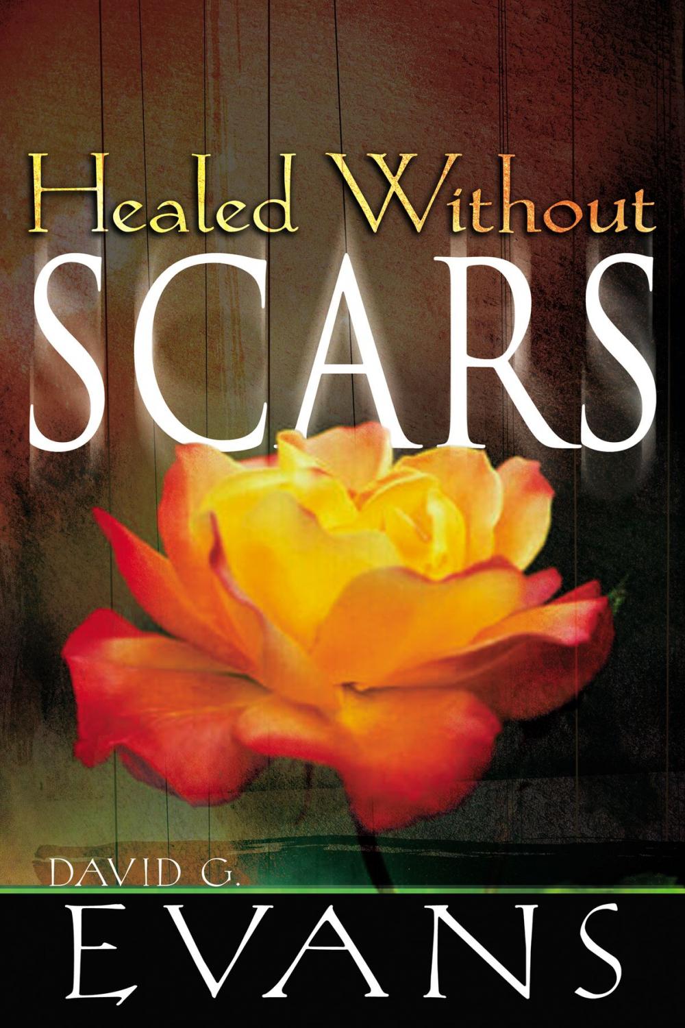 Big bigCover of Healed Without Scars