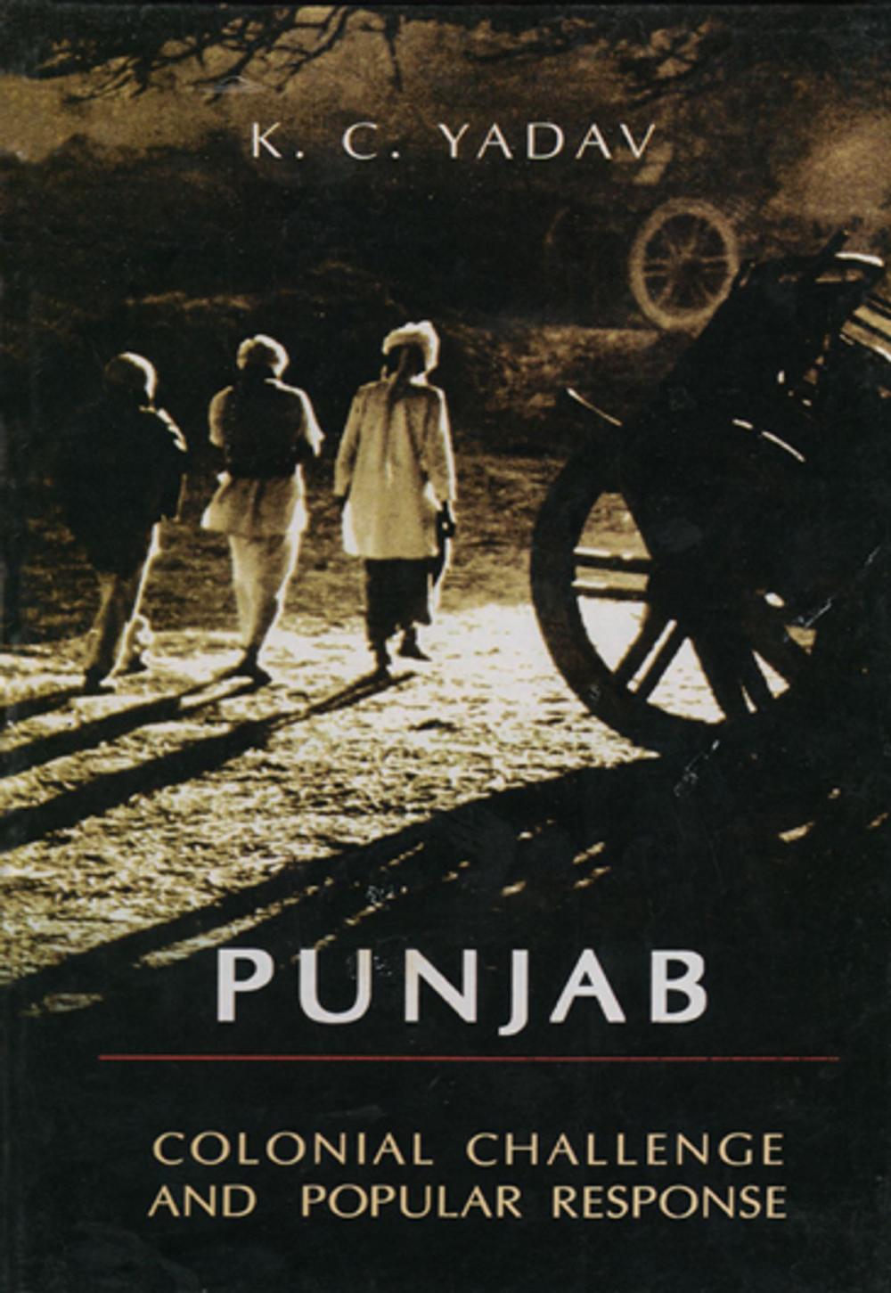 Big bigCover of Punjab Colonial Challenge and Popular Response