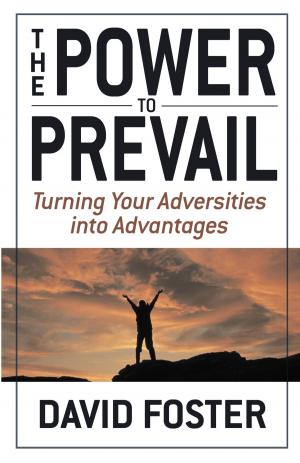 Cover of the book The Power to Prevail by David Bordon, Tom Winters