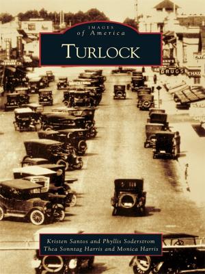 Cover of the book Turlock by Jennifer Dumke