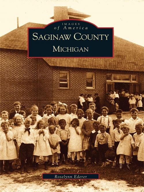 Cover of the book Saginaw County, Michigan by Roselynn Ederer, Arcadia Publishing Inc.