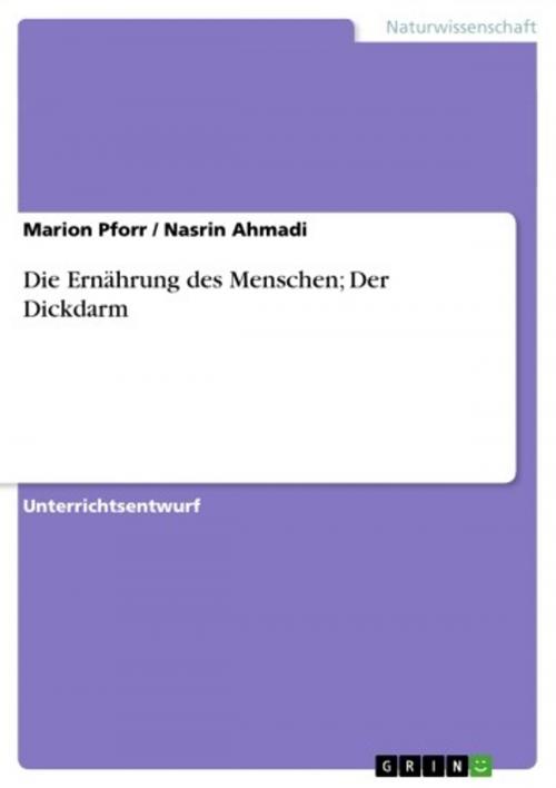 Cover of the book Die Ernährung des Menschen; Der Dickdarm by Marion Pforr, Nasrin Ahmadi, GRIN Verlag