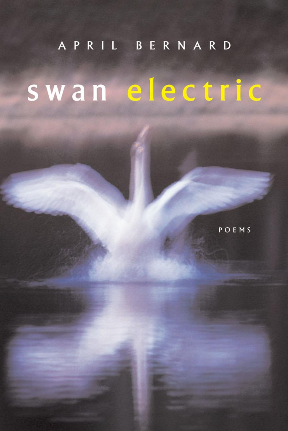 Big bigCover of Swan Electric: Poems