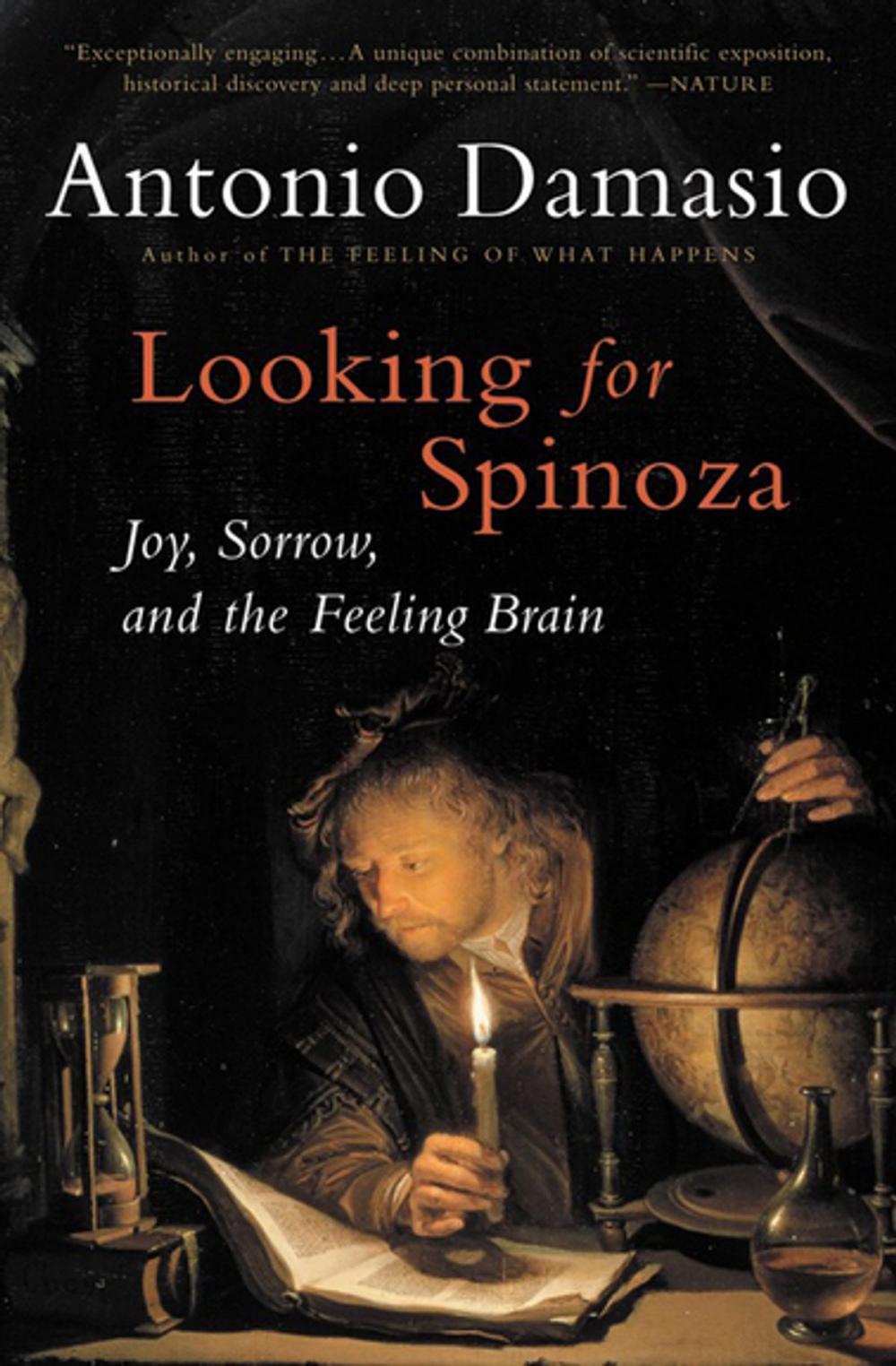 Big bigCover of Looking for Spinoza