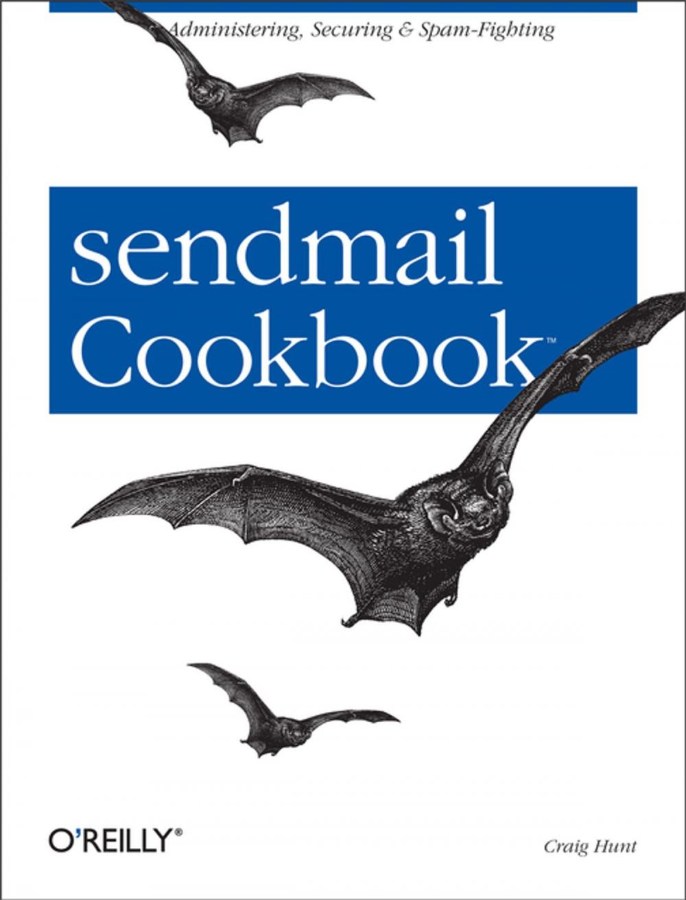 Big bigCover of sendmail Cookbook