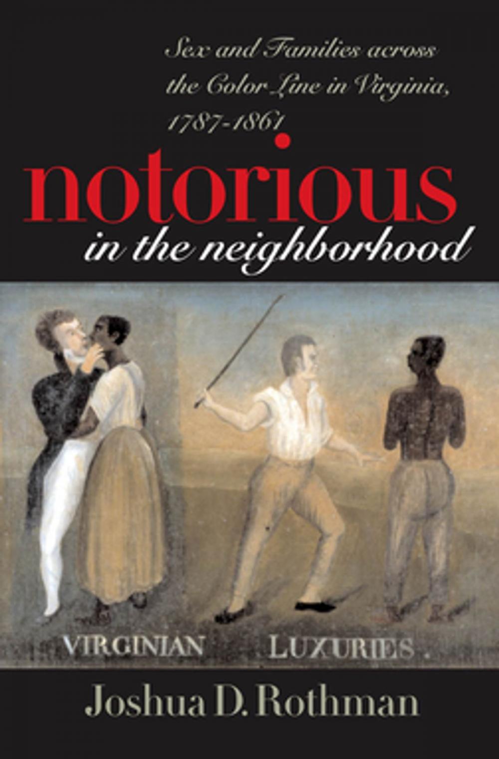 Big bigCover of Notorious in the Neighborhood