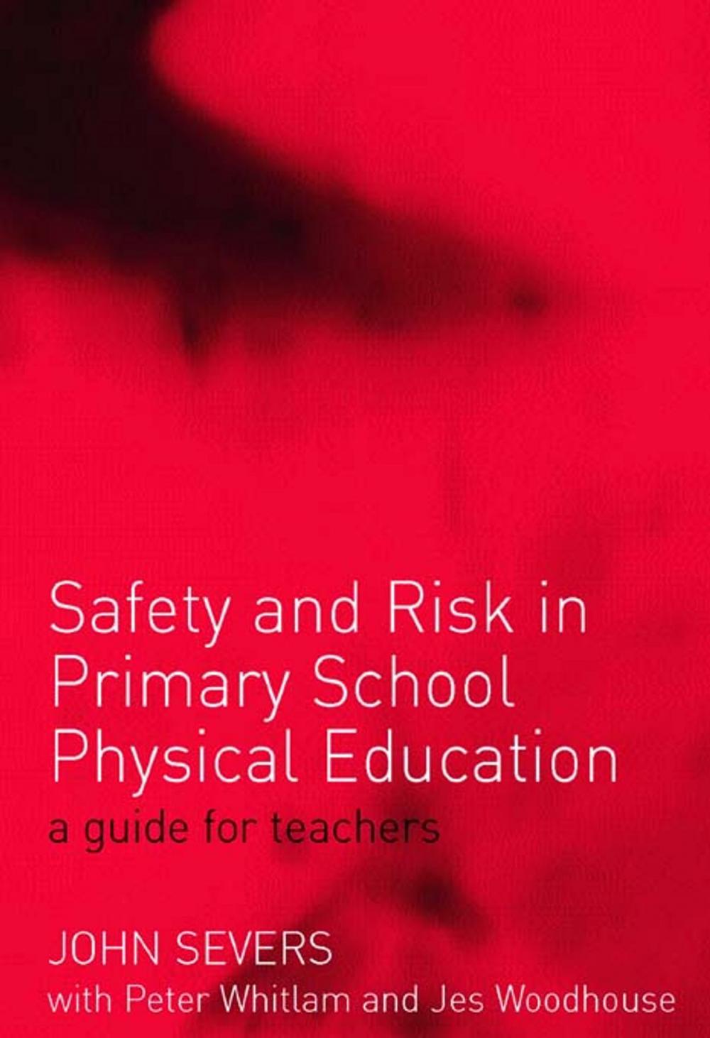 Big bigCover of Safety and Risk in Primary School Physical Education