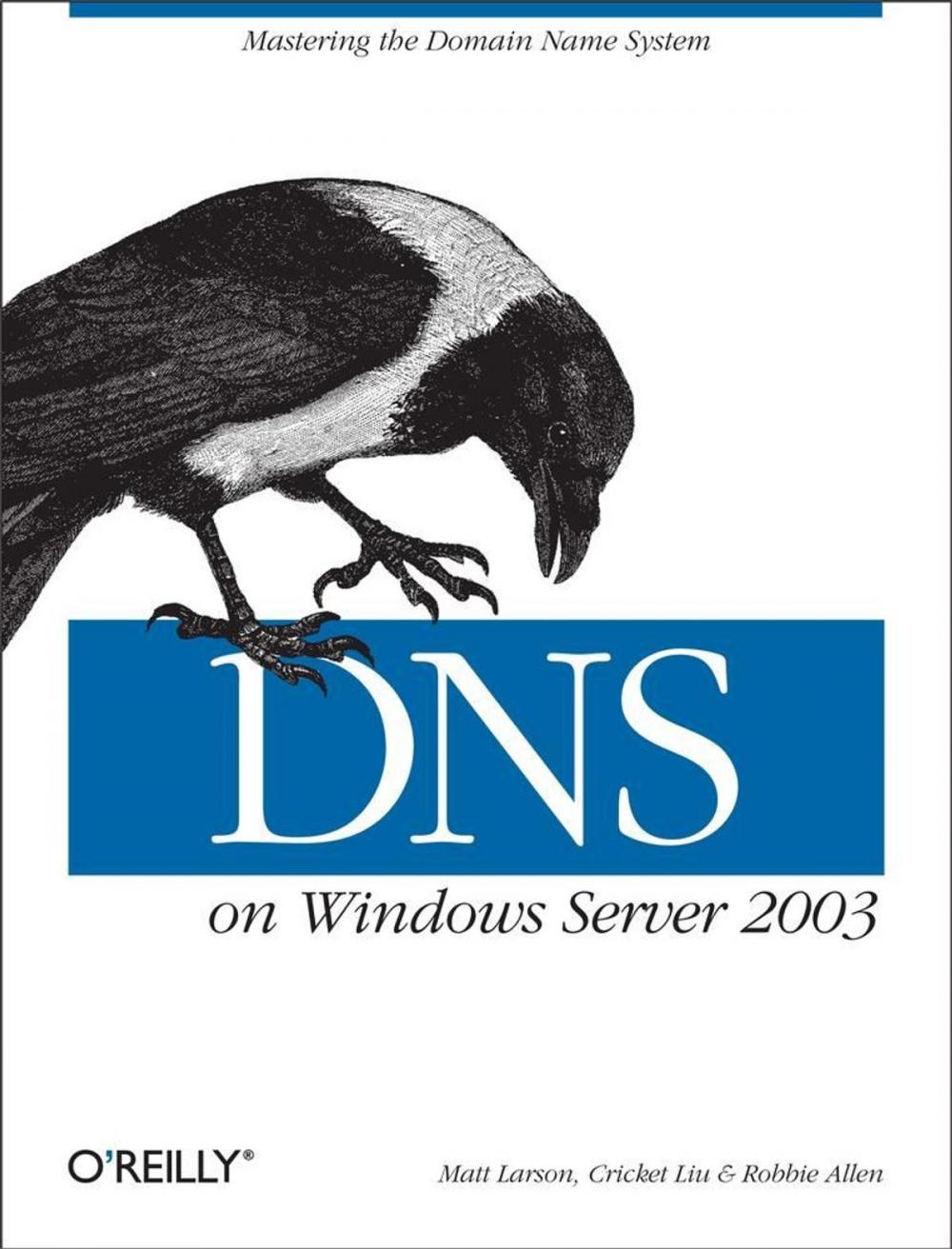 Big bigCover of DNS on Windows Server 2003