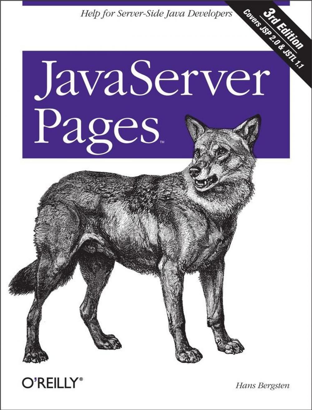 Big bigCover of JavaServer Pages