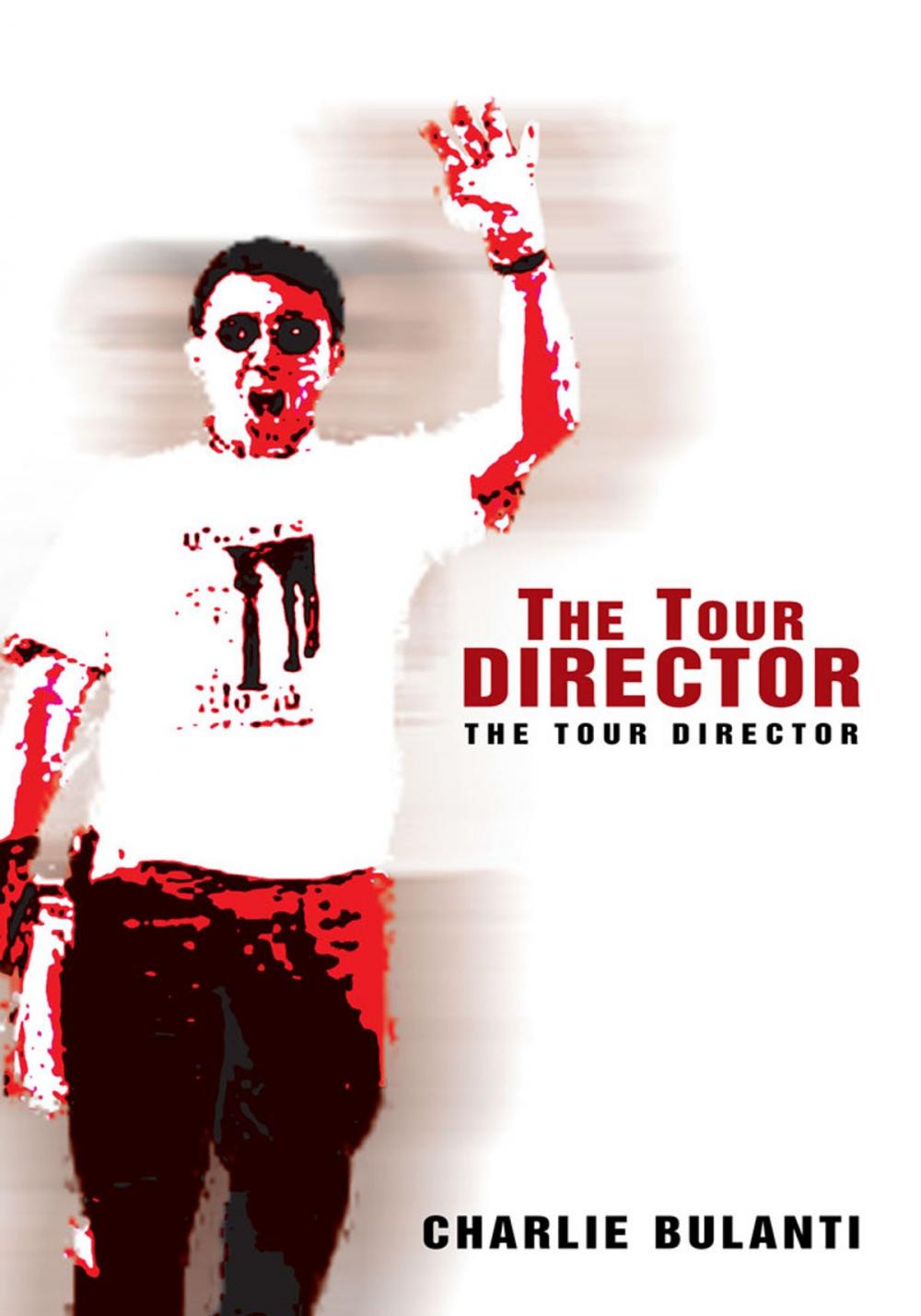 Big bigCover of The Tour Director