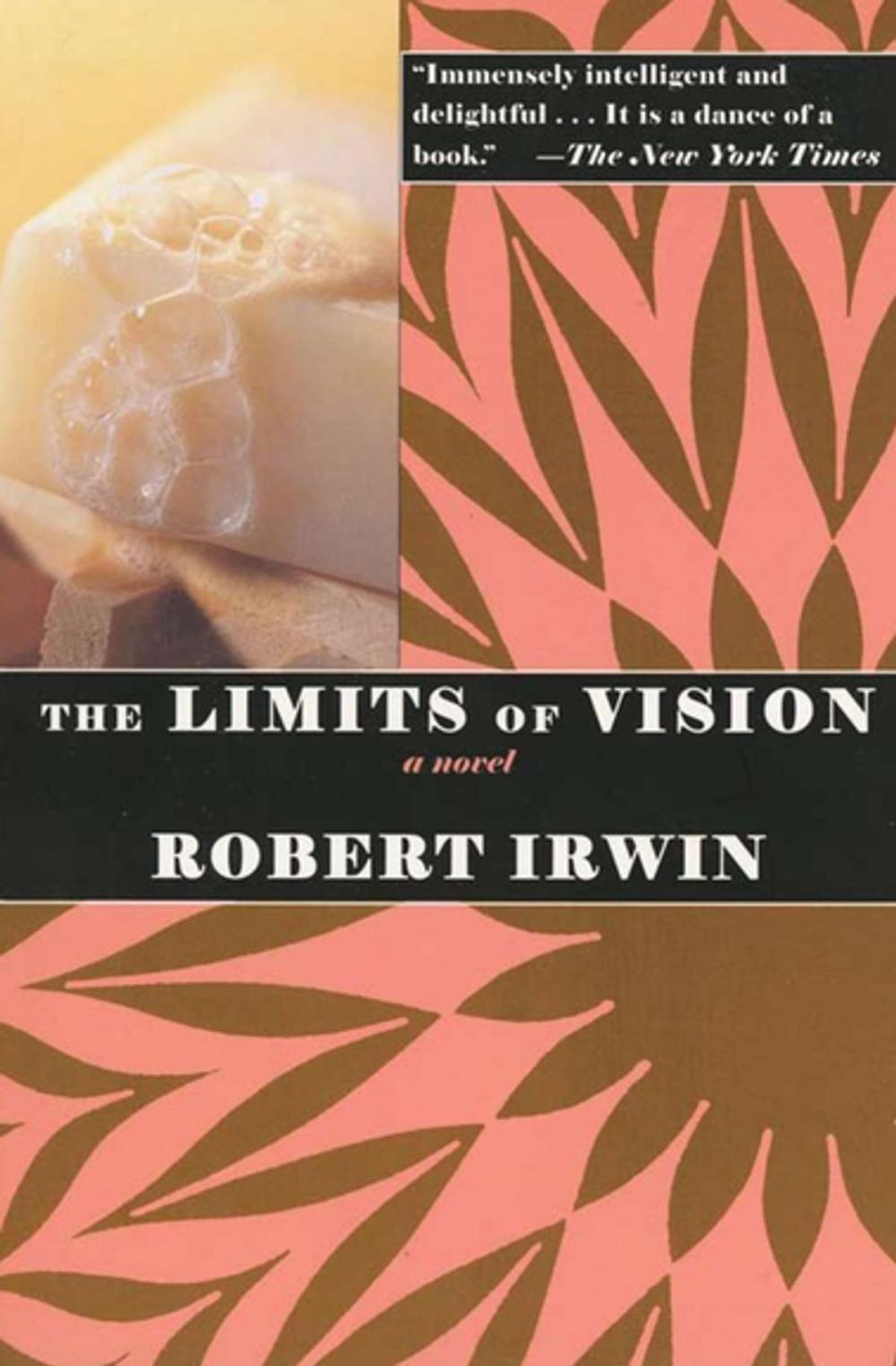 Big bigCover of The Limits of Vision