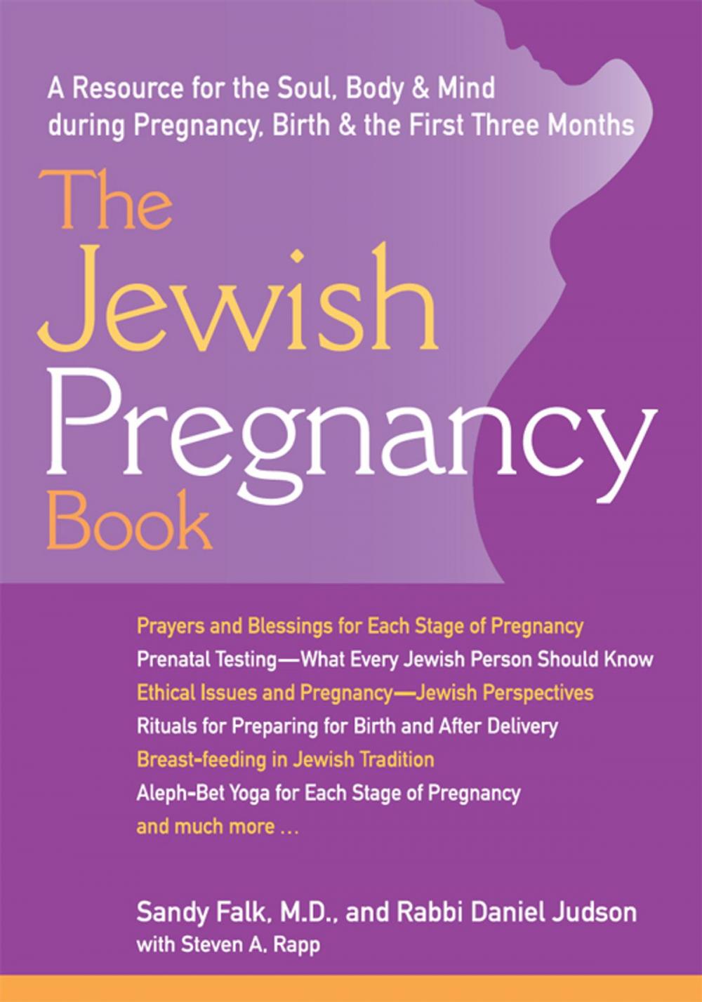 Big bigCover of The Jewish Pregnancy Book: A Resource for the Soul, Body & Mind during Pregnancy, Birth & the First Three Months