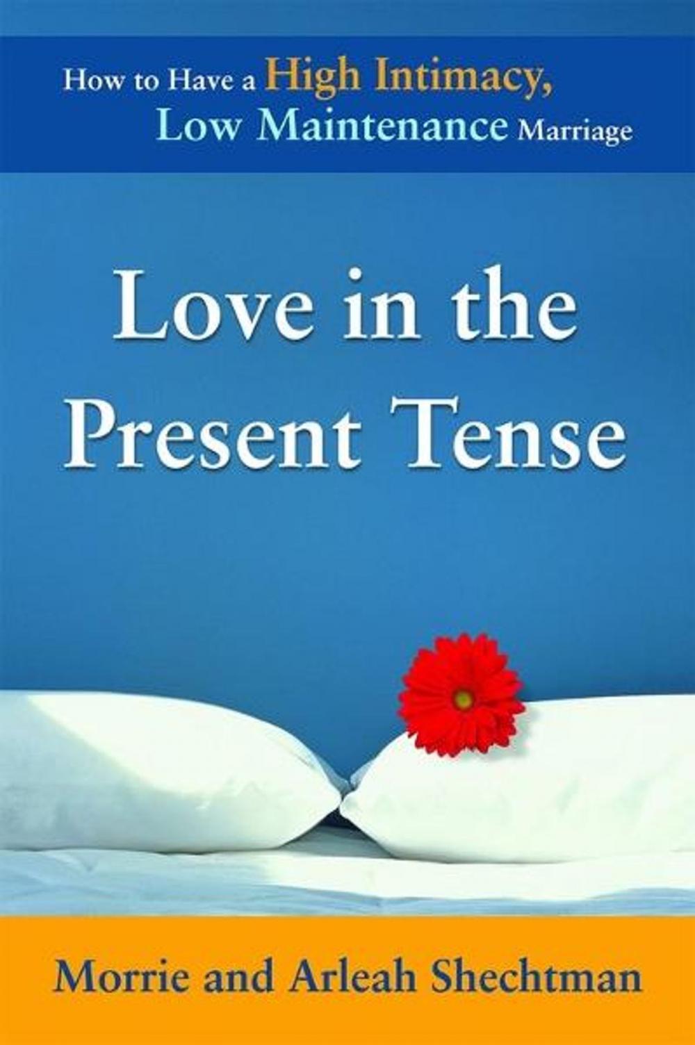 Big bigCover of Love in the Present Tense