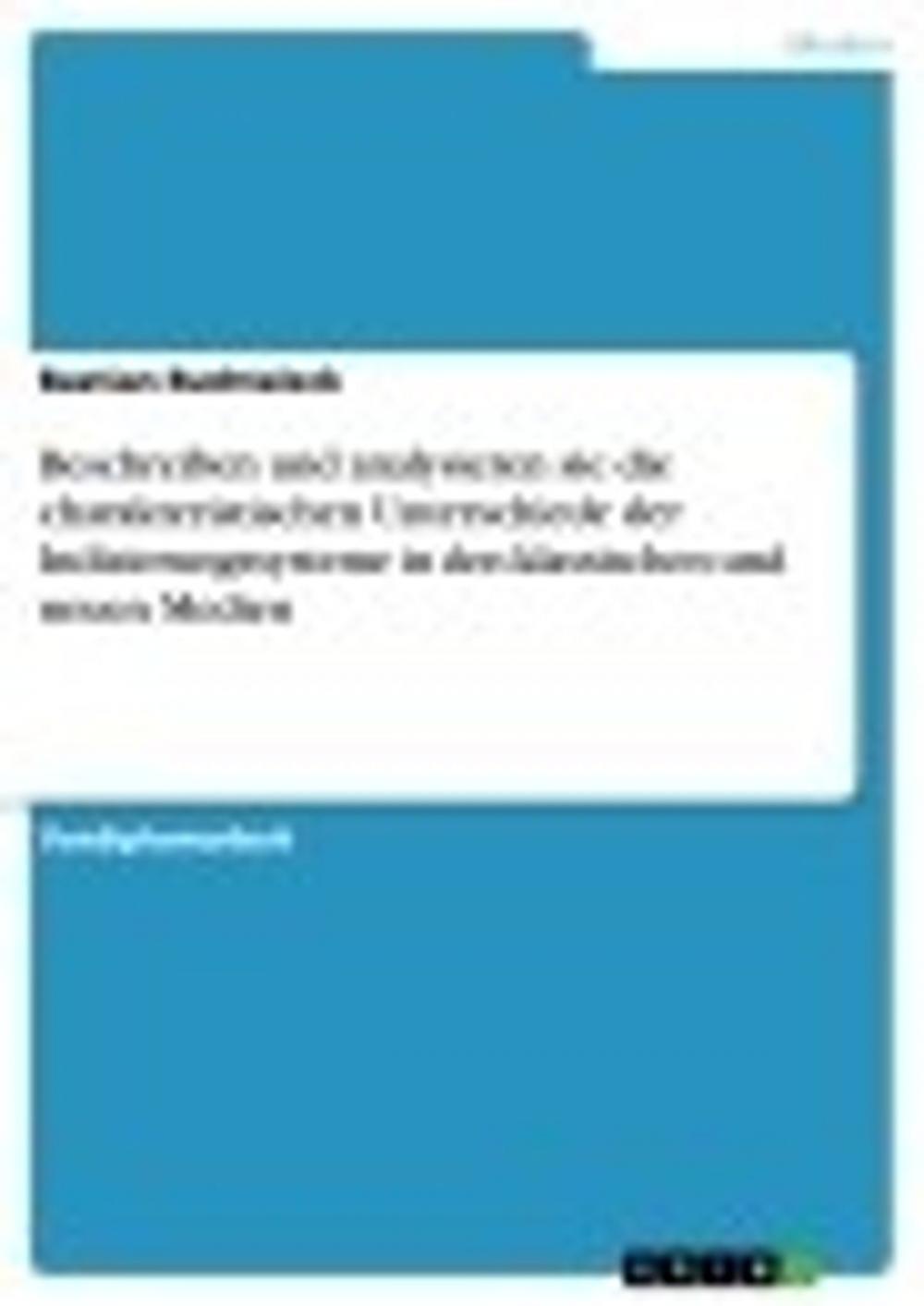 Big bigCover of Beschreiben und analysieren sie die charakteristischen Unterschiede der Indizierungssysteme in den klassischen und neuen Medien