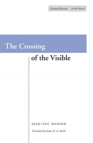 Cover of the book The Crossing of the Visible by Jason Mazzone