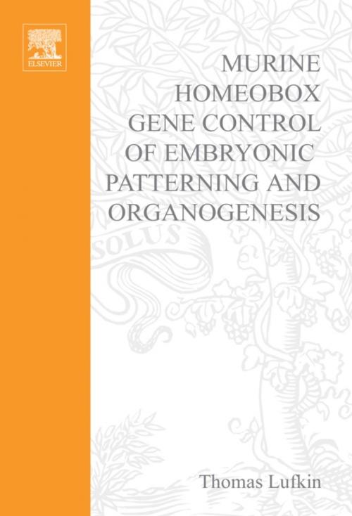 Cover of the book Murine Homeobox Gene Control of Embryonic Patterning and Organogenesis by , Elsevier Science