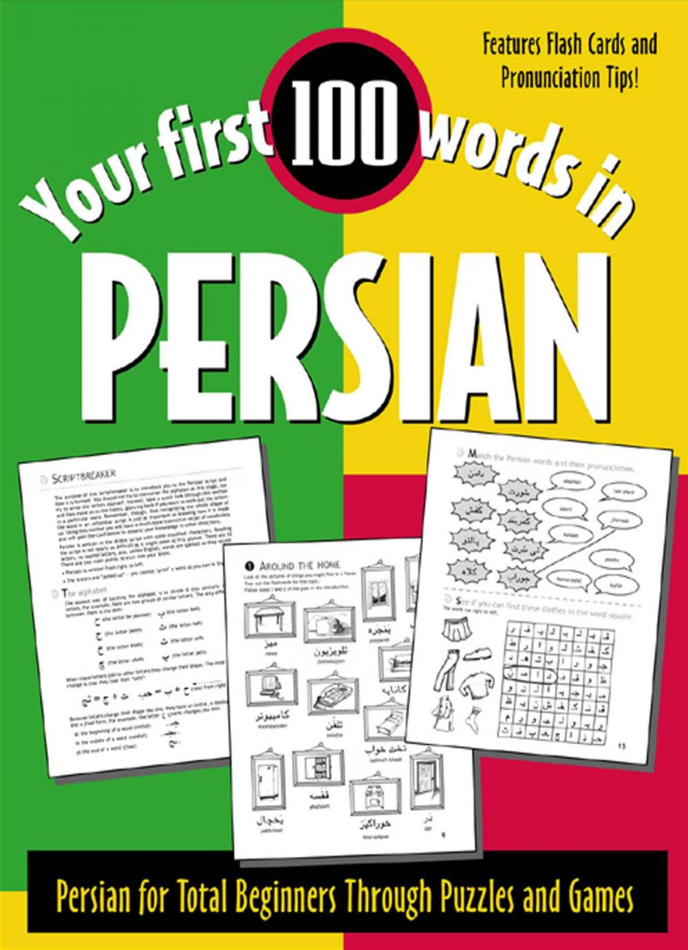 Big bigCover of Your First 100 Words in Persian