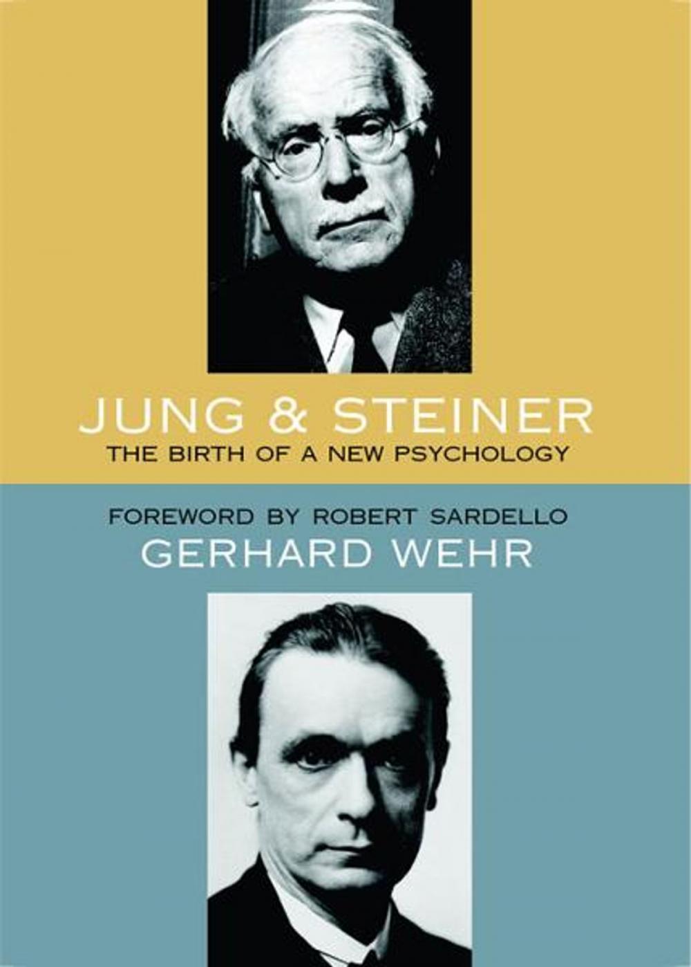 Big bigCover of Jung and Steiner