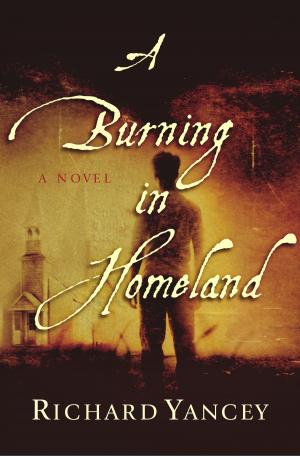 Cover of the book A Burning in Homeland by Richard Cohen